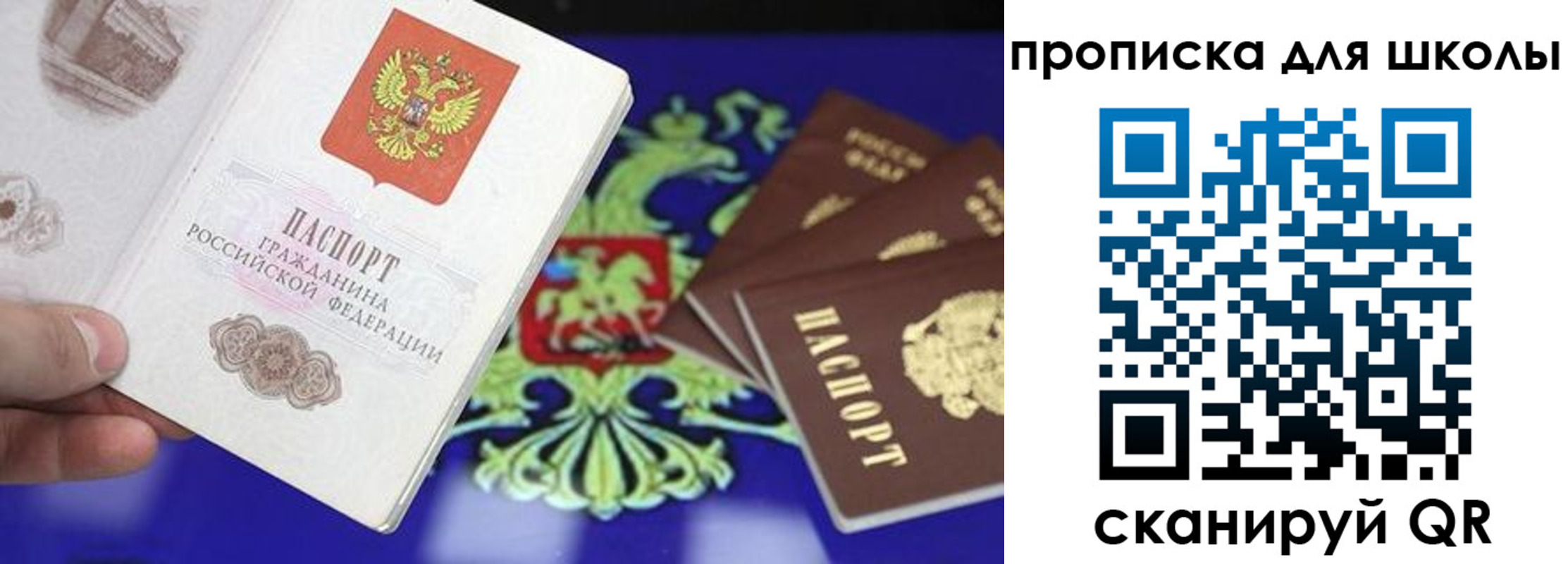 прописка в квартире в Камышине