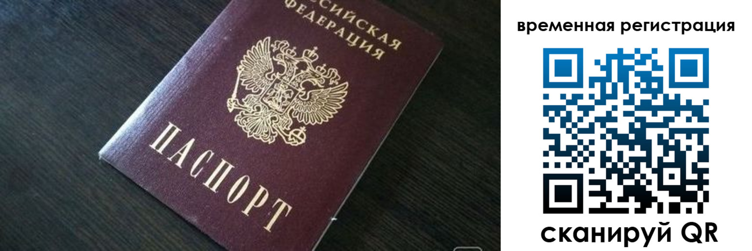 прописка штамп в Камышине